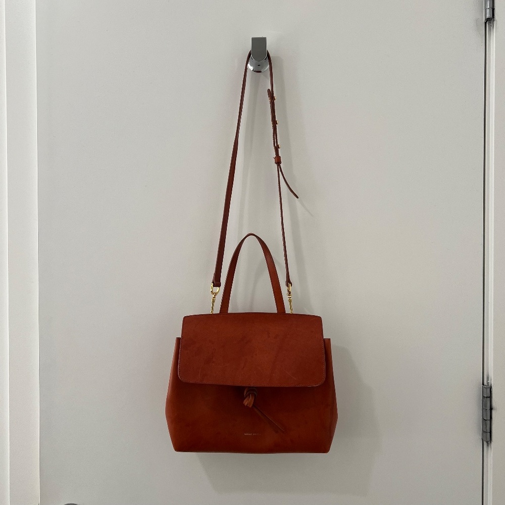 Mansur Gavriel Mini Lady Day Bag with Gold Hardware - Picture 5 of 16